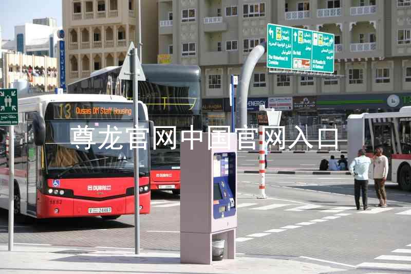 尊龙官网中国官网入口