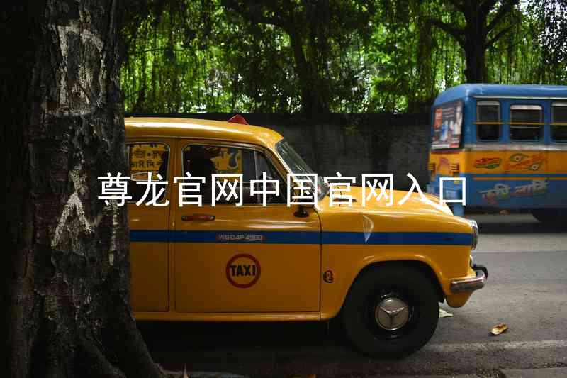 尊龙官网中国官网入口