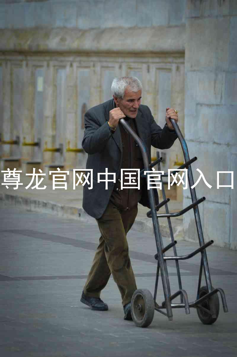 尊龙官网中国官网入口