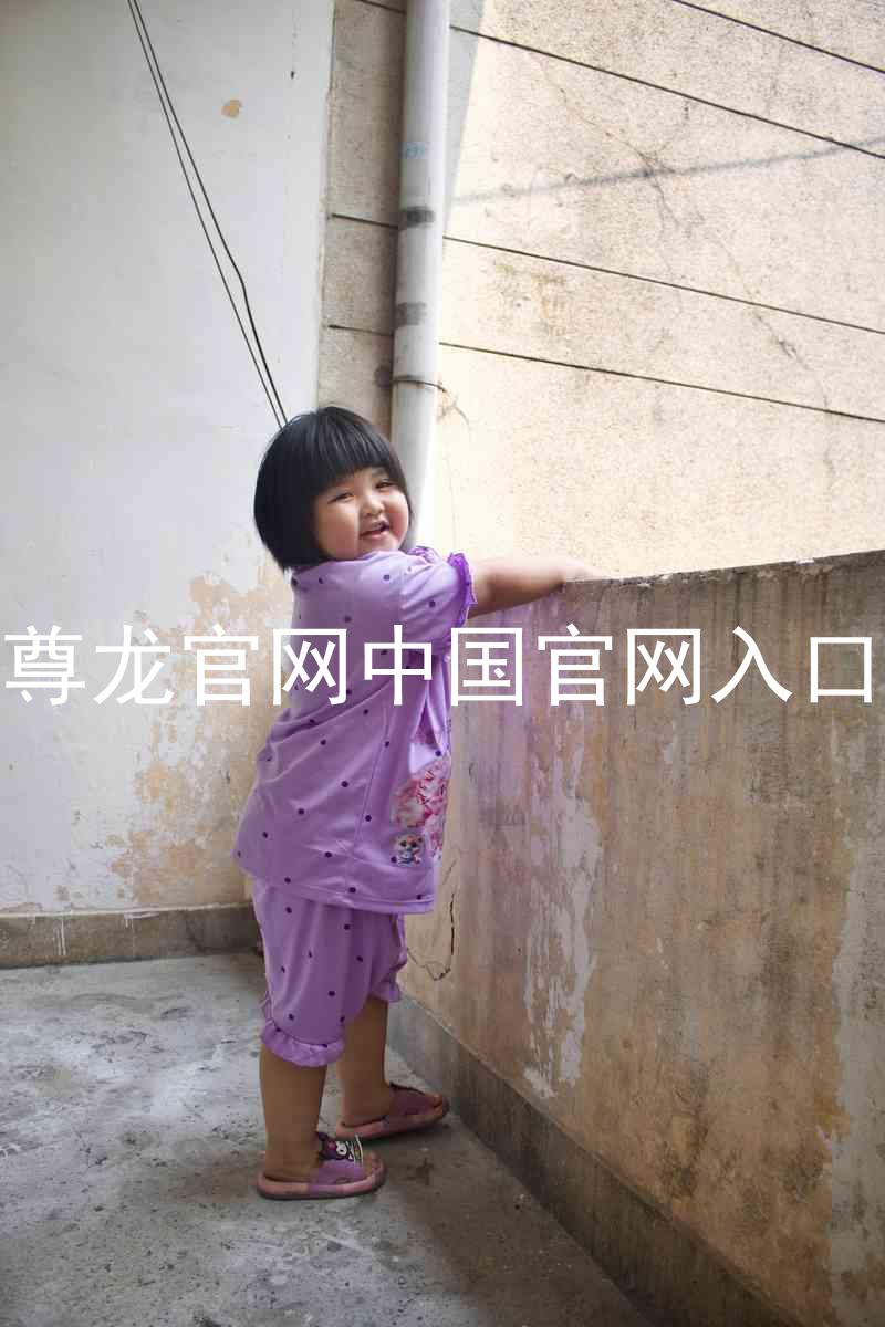 尊龙官网中国官网入口