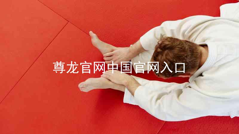 尊龙官网中国官网入口