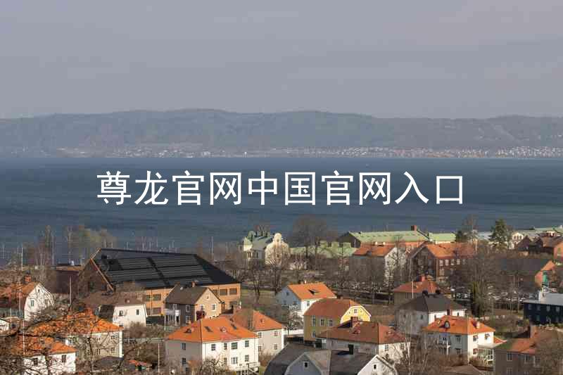 尊龙官网中国官网入口