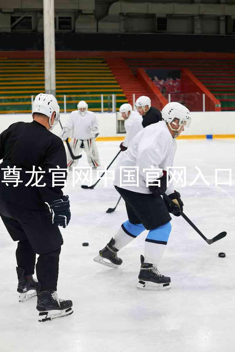 尊龙官网中国官网入口