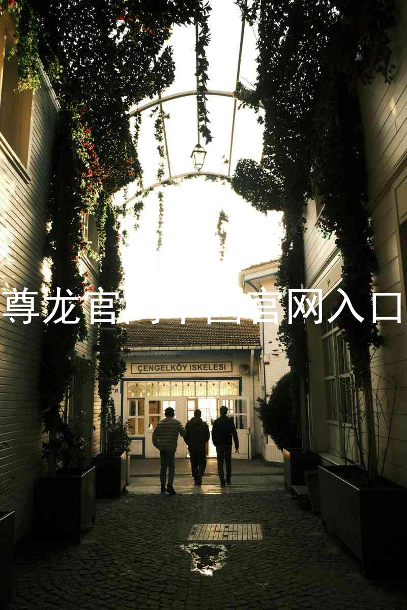 尊龙官网中国官网入口