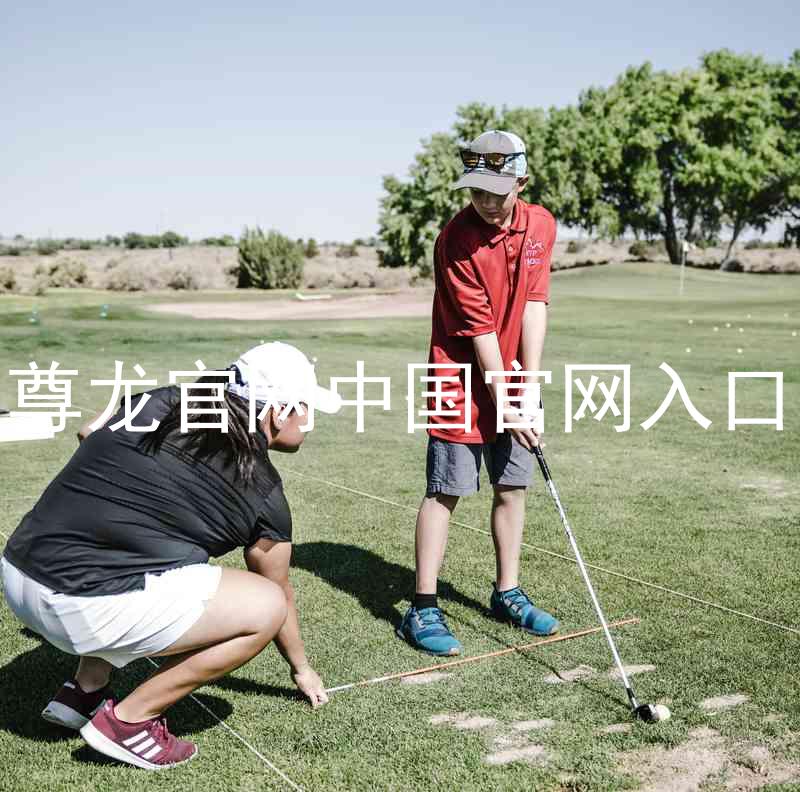 尊龙官网中国官网入口
