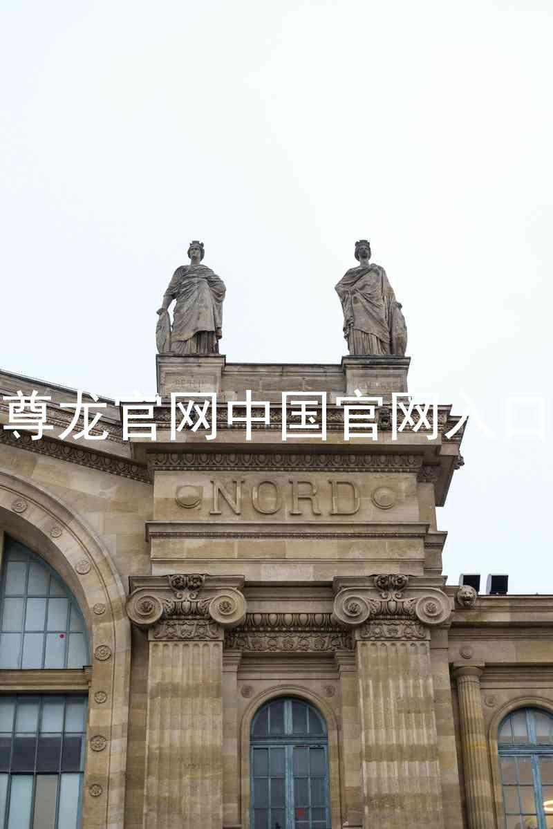 尊龙官网中国官网入口